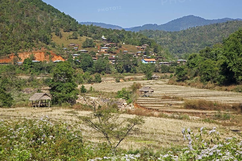 Rural village and terraced rice paddy fields in the Tachileik District, Shan State, Myanmar, Burma, Asia