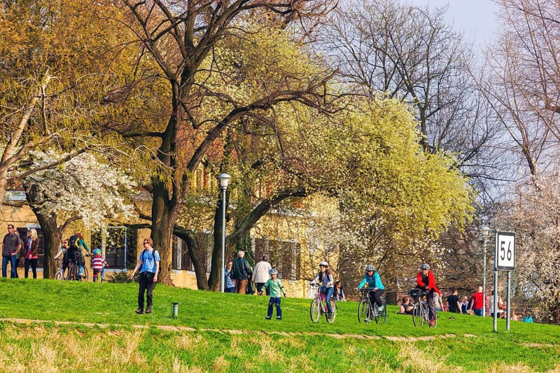 Spring on the Königsufer in Dresden