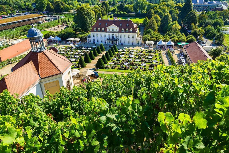 Wackerbarth Castle or Wackerbarths Ruh is a Baroque castle surrounded by vineyards in the Niederlößnitz district of Radebeul on the road to Meißen, which serves as the seat of the Saxon State Winery. The winery belongs to the Lößnitz vineyard and is located in the Radebeuler Johannisberg vineyard
