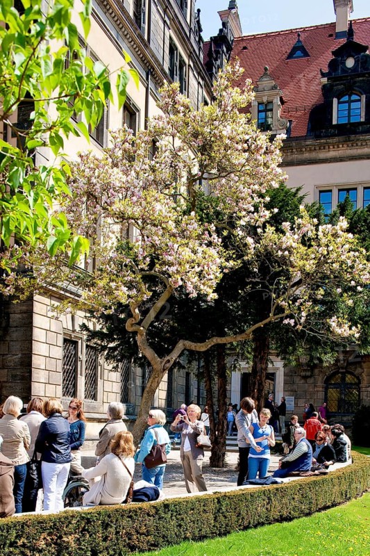 Residential Palace in spring. Large parts of the Residenzschloss in Dresden have already been restored and are a popular tourist destination