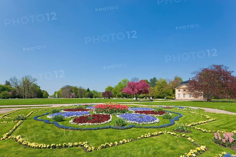 Large garden in Dresden