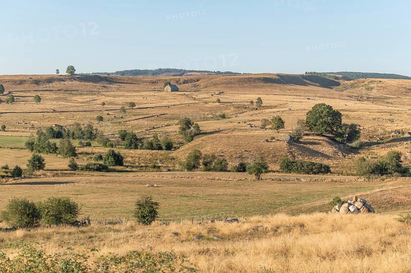 Landscape in Aubrac in summer, inspiring, infinite, enchanting, magical, peaceful, bewitching. Cevennes France