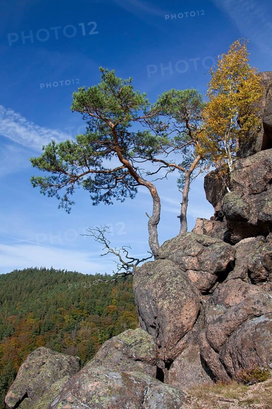 View from the Ilsestein, Ilsestone near Ilsenburg in the Ilsetal, Harz Mountains, Thale, Saxony-Anhalt, Germany, Europe