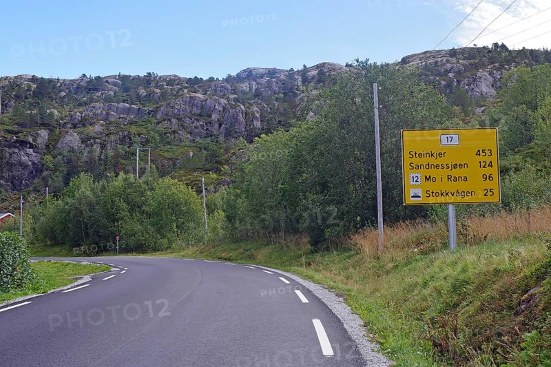 Traffic reeds on a traffic-free road, Steinkjer, Sandnessjoen, Mo i Rana, Helgeland, FV 17, Kystriksveien, Norway, Europe