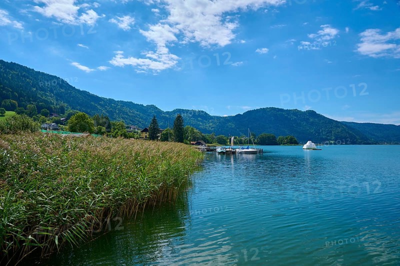 Lakeside, reed, sky, clouds, summer, Ossiach, Lake Ossiach, Carinthia, Austria, Europe