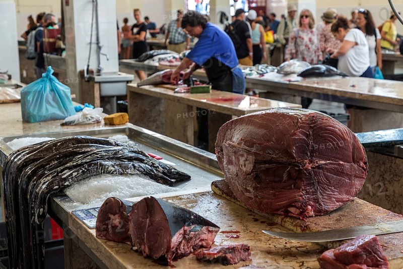 Tuna and black scabbardfish (Aphanopus carbo), fish market, Mercado dos Lavradores market hall, Funchal, Madeira Island, Portugal, Europe
