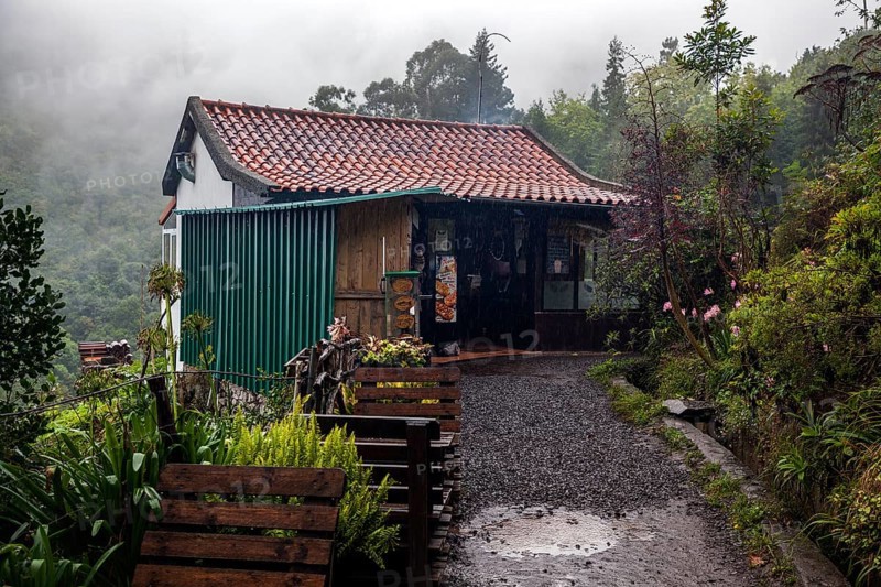 Snack Bar Flor da Selva on the PR11 Vereda dos Balcões hiking trail through laurel forest to the Miradouro Balcoes viewpoint, Ribeiro Frio, Madeira, Portugal, Europe
