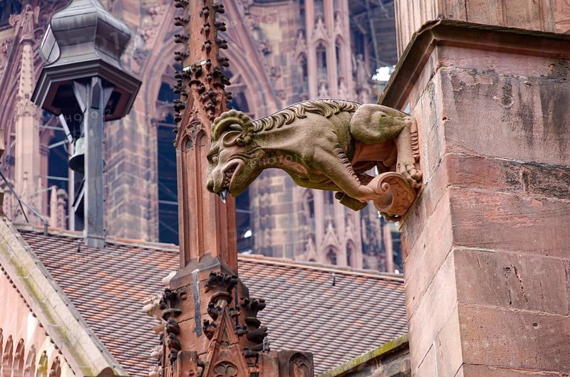 Gargoyles on the buttress of the Freiburg Cathedral, the Cathedral of Our Lady, in the old town of Freiburg im Breisgau, Baden-Württemberg, Germany, Europe