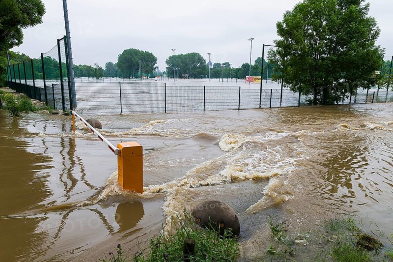 Flood ditch in the Ostragehege