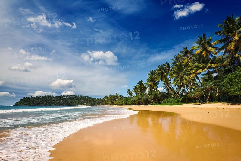 Tropical vacation holiday background, paradise idyllic beach. Mirissa, Sri lanka