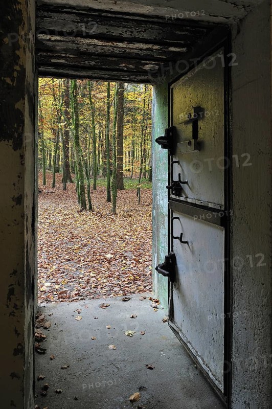 Wolfsschlucht I, Grand Quartier Général Allemand 1940, open air museum with Adolf Hitler's bunker in the forest at Brûly-de-Pesche, Ardennes, Belgium, Europe
