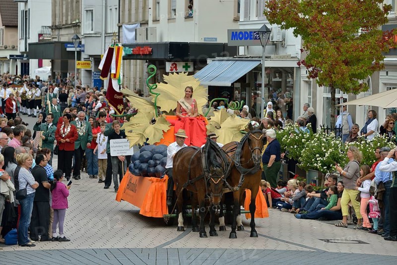 The Wine Queen of Affental at the festival parade of Zwetschgenfest, plums festival, Bühl, Baden, Baden-Württemberg, Germany, Europe