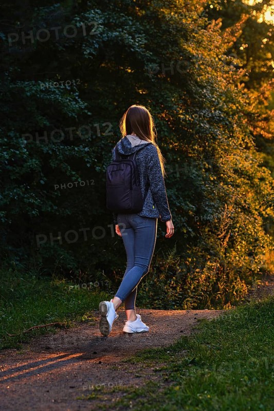 Rear view of a female hiker walks along forest path in rays of sunset