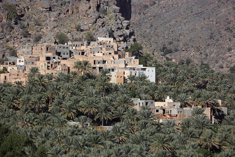 Al-Hamra is one of the many interesting oases with an old mud part with red houses on stone foundations. Here is the district of Misfah, which lies on a steep hillside, Oman, Asia