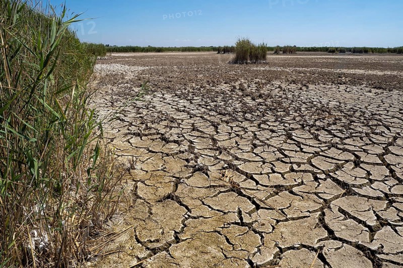 Heavily desiccated soil of Lake Neusiedl, Lake Neusiedl-Seewinkel National Park, Illmitz, Burgenland, Austria, Europe
