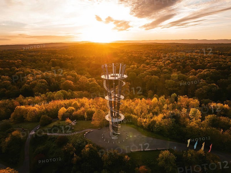 Aerial view of the Schönbuchturm in autumn forest at sunrise, Herrenberg, Germany, Europe