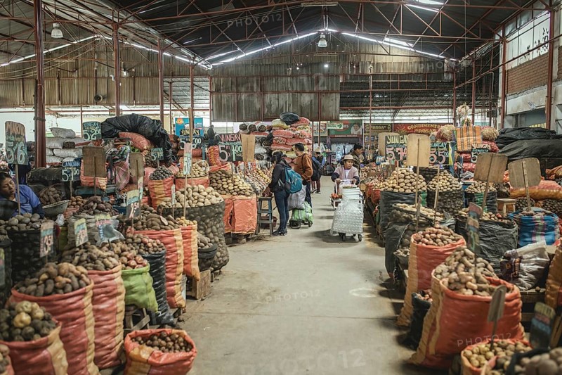 Market hall, potato variety, Mercado Mayorista, Huancayo, Peru, South America