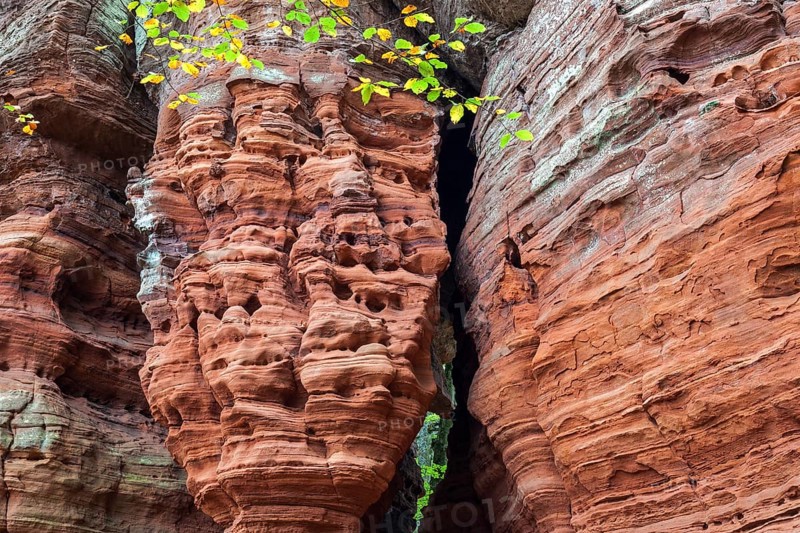 Eroded red sandstone, old castle rock, close-up, natural and cultural monument, Brechenberg near Eppenbrunn, Palatinate Forest, Rhineland-Palatinate, Germany, Europe