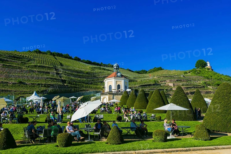 Winery Wackerbarth Castle