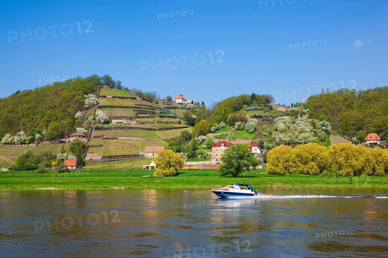 Elbe at the Boselspitze