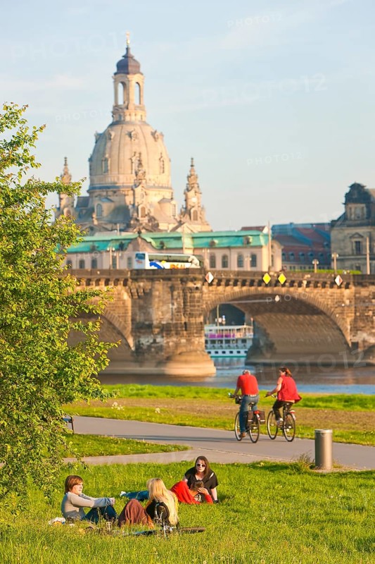 Dresden Elbe meadows in spring