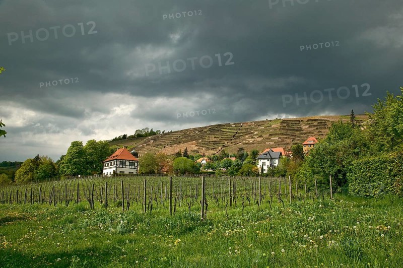 Hoflößnitzi is a former Electoral Saxon, now municipal winery in Radebeul (Oberlößnitz district) on the Saxon Wine Route. In the 21st century, it has been converted into a museum and is once again a winery with a sales outlet and bar. The winery is part of the large Lößnitz vineyard
