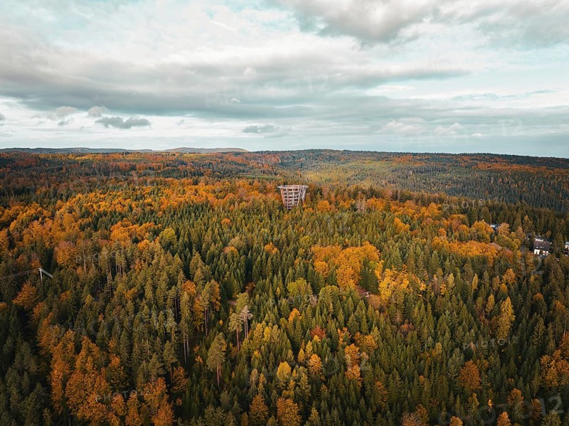 Aerial view of the observation tower treetop walk in the autumn forest, Bad Wildbad, Black Forest, Germany, Europe