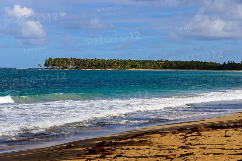 A tropical beach with palm trees in the background and blue ocean under a partly cloudy sky, Limon Beach, El Limón, El Seibo, Dominican Republic, Hispaniola, Caribbean, America, Central America