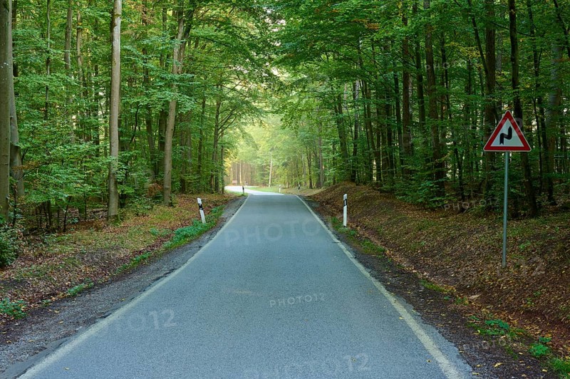 Road, deciduous forest, danger sign, double curve, morning, Buchen, Odenwald, Baden-Württemberg, Germany, Europe