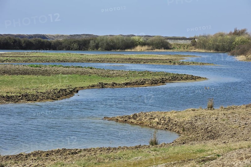 The nature reserve Parc du Marquenterre at the Bay of the Somme, Picardy, France, Europe