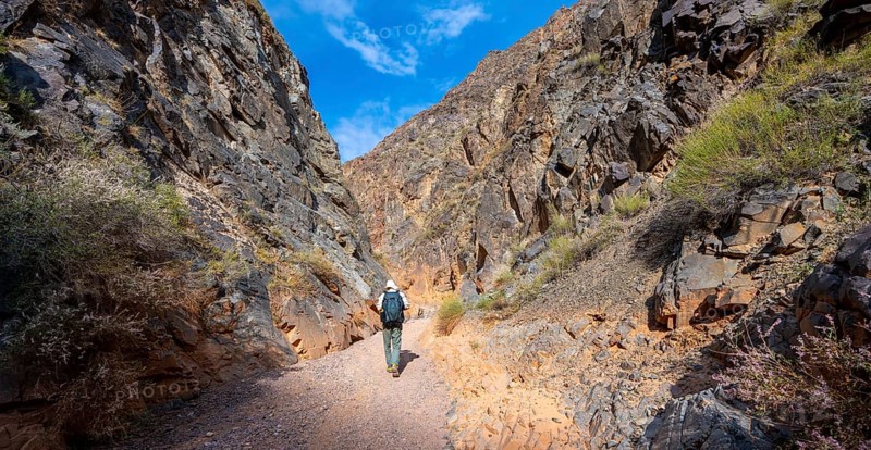 Mountaineer in a canyon with a dry stream bed, eroded mountain landscape with red sandstone rocks, Konorchek Canyon, Chuy, Kyrgyzstan, Asia