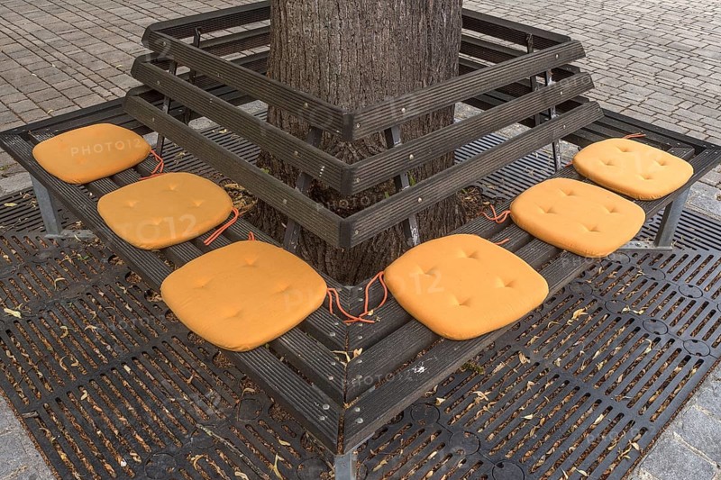Yellow seat cushions on a park bench, Nuremberg, Middle Franconia, Bavaria, Germany, Europe