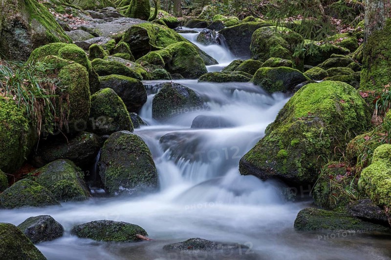 Gertelbach, Gertelbach Waterfalls, Gertelbach Falls, Gertelbach Gorge, Bühl, Bühlertal, Northern Black Forest, Black Forest, Baden-Württemberg, Germany, Europe