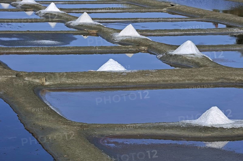 Salt pan for the poduction of Fleur de sel, sea salt on the island Ile de Ré, Charente-Maritime, France, Europe