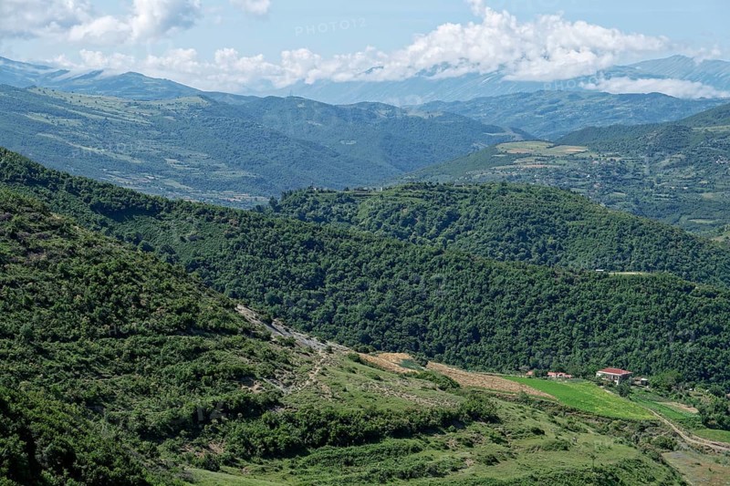 Wooded slopes in the southern Albanian mountain landscape on the western foothills of the Tomorr massif in Tomorr National Park, also Tomorri National Park. Berat, Albania, Southeast Europe, Europe