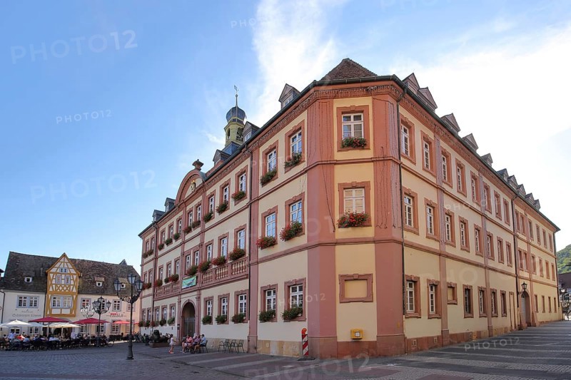 Baroque town hall on the market square in Neustadt an der Weinstraße, Rhineland-Palatinate, Germany, Europe
