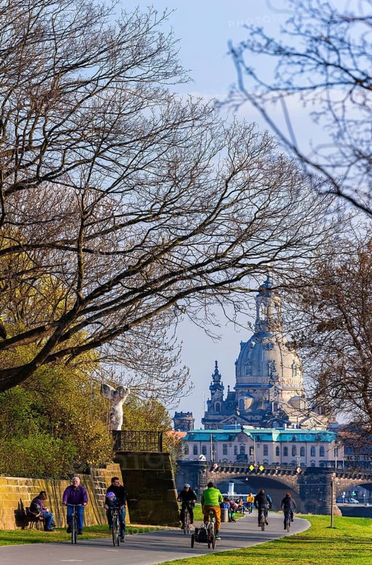Spring on the Königsufer in Dresden