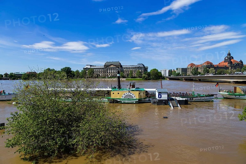 Elbe steamer during the flood in Dresden