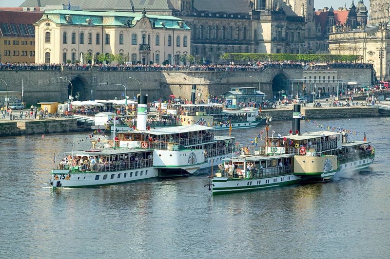 Steamboat parade on the Elbe
