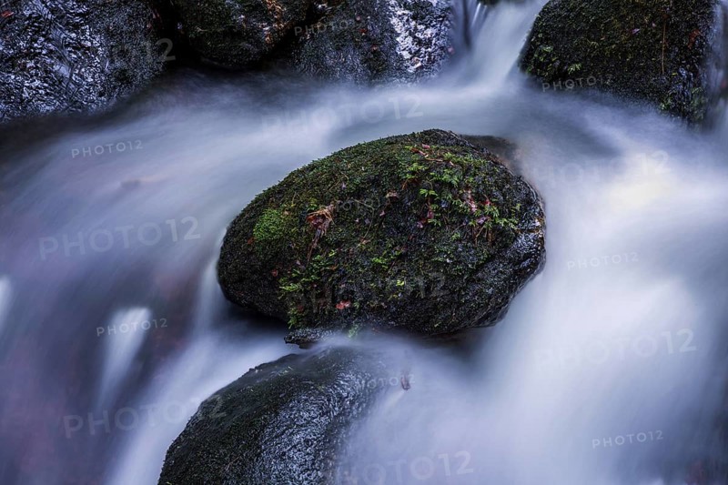 Gertelbach, Gertelbach Waterfalls, Gertelbach Falls, close-up, Gertelbach Gorge, Bühl, Bühlertal, Northern Black Forest, Black Forest, Baden-Württemberg, Germany, Europe