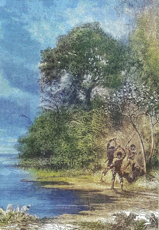 Three men slay an Ai, sloth, 1869, Amazon, Brazil, Historical, digitally restored reproduction of a 19th century original, exact original date unknown, South America