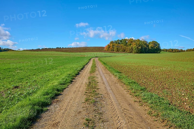 Field path, field landscape, grain field, forest, sky, clouds, Duttenbrunn, Zellingen, Würzburg, Franconia, Bavaria, Germany, Europe