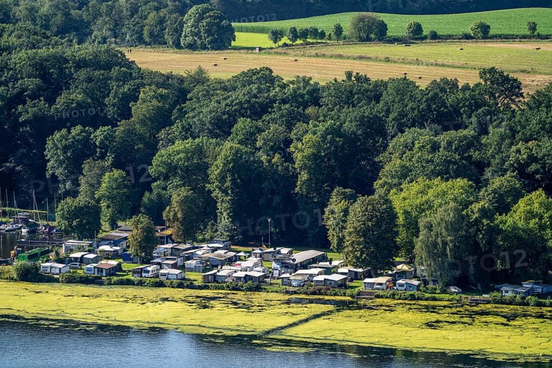 Campingpark Lake Baldeney, Elodea, an invasive species, green plant carpet on the Lake Baldeney in Essen, the fast-growing aquatic plant proliferates on large parts of the Ruhr reservoir, increased water temperatures accelerate growth, leisure boat traffic is severely impaired, Essen, North Rhine-Westphalia, Germany, Europe
