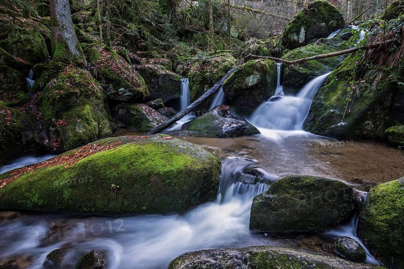 Gertelbach, Gertelbach Waterfalls, Gertelbach Falls, Gertelbach Gorge, Bühl, Bühlertal, Northern Black Forest, Black Forest, Baden-Württemberg, Germany, Europe