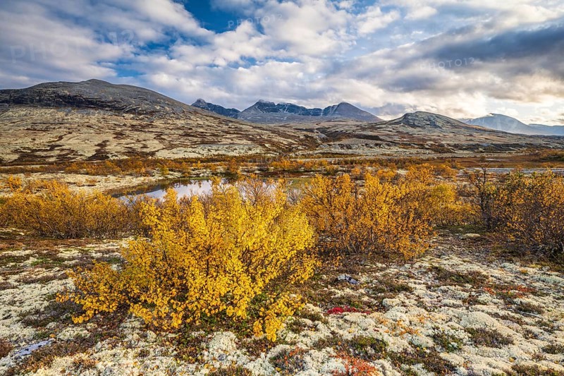 Autumn landscape in Rondane National Park, mountains Høgronden, Midtronden and Digerronden Dørålen, Dørålseter, Norway, Europe