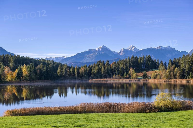 Hegratsrieder See near Füssen, Allgäu Alps, Allgäu, Bavaria, Germany, Europe