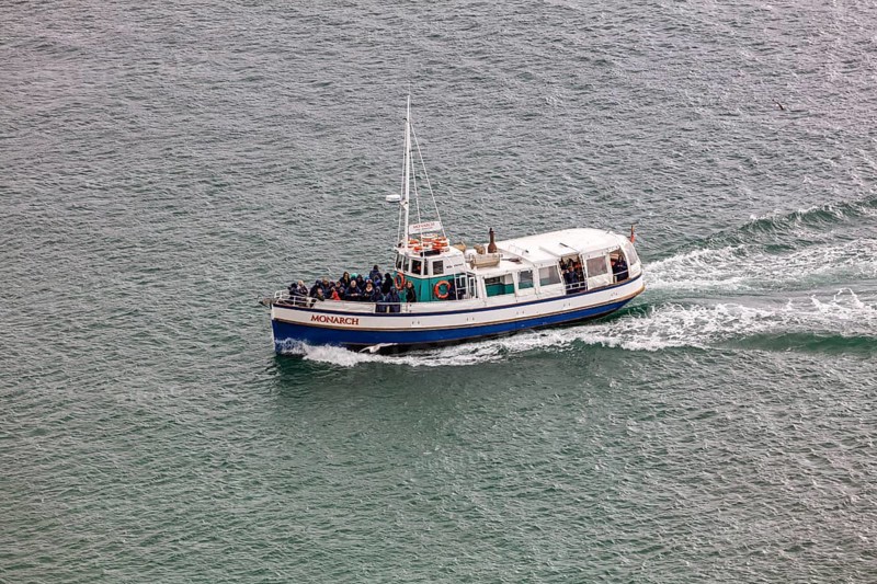 Boot, Taiaroa Head, Otago-Halbinsel, Neuseeland