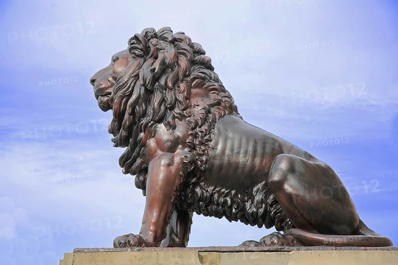 Large bronze lion figure with mane, sculpture, lion's mane, free-standing sculpture, Ducal Museum, Schlossplatz, Gotha, Thuringia, Germany, Europe