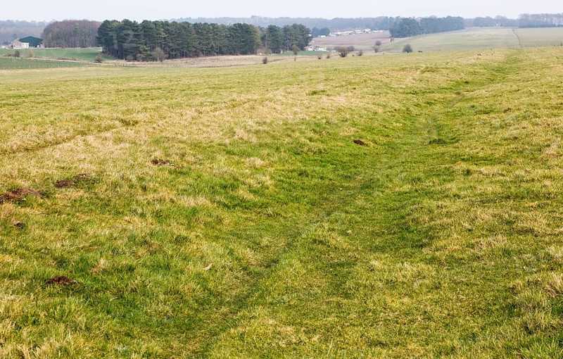 Field view of faint embankment lines 5, 500 years old Stonehenge Cursus, Wiltshire, England, UK