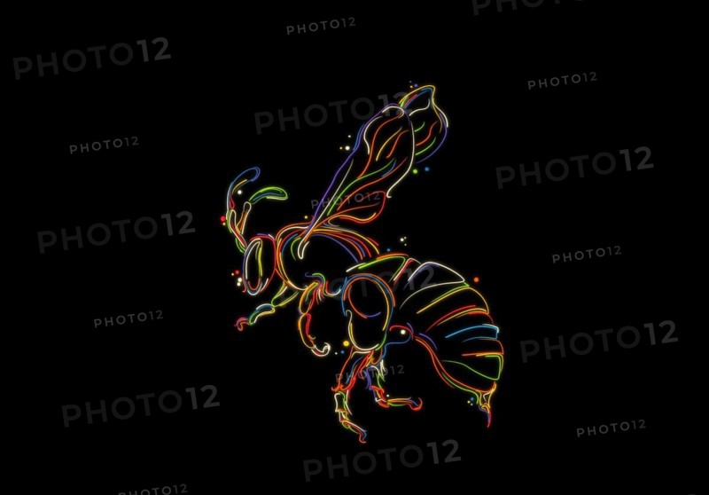 Flying bee sketch, stylized vector hand drawing in colors over black